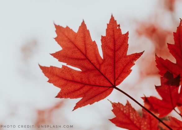 Photographer Cole Keister