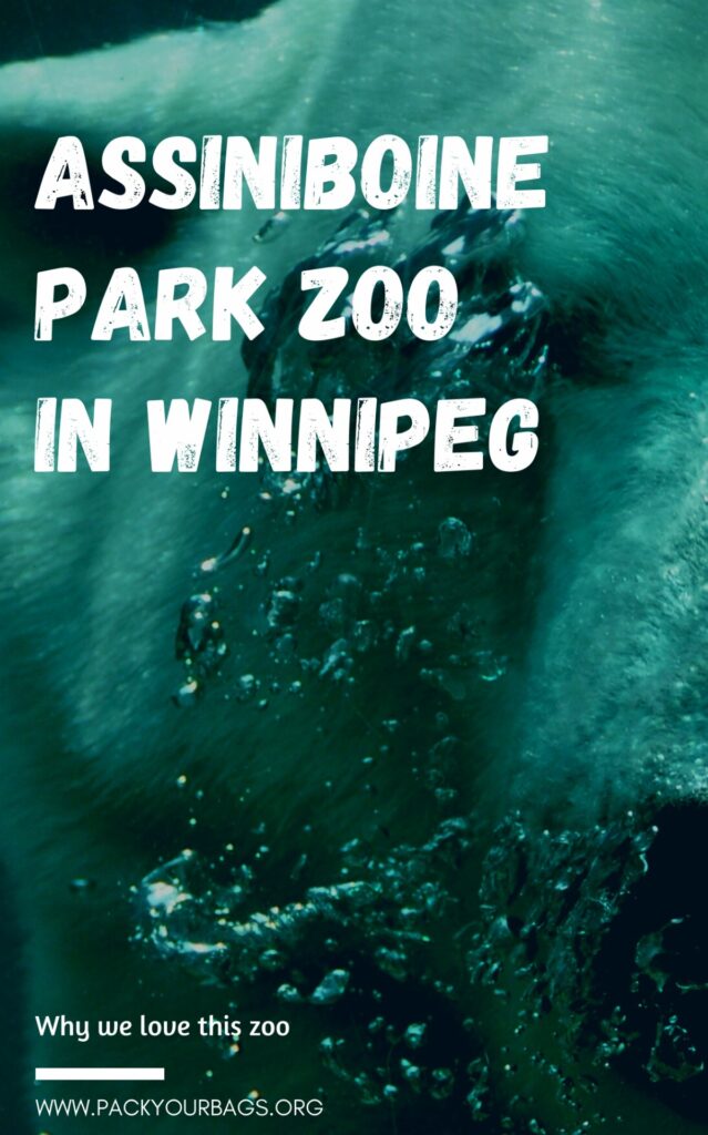 Assiniboine Park Zoo in Winnipeg