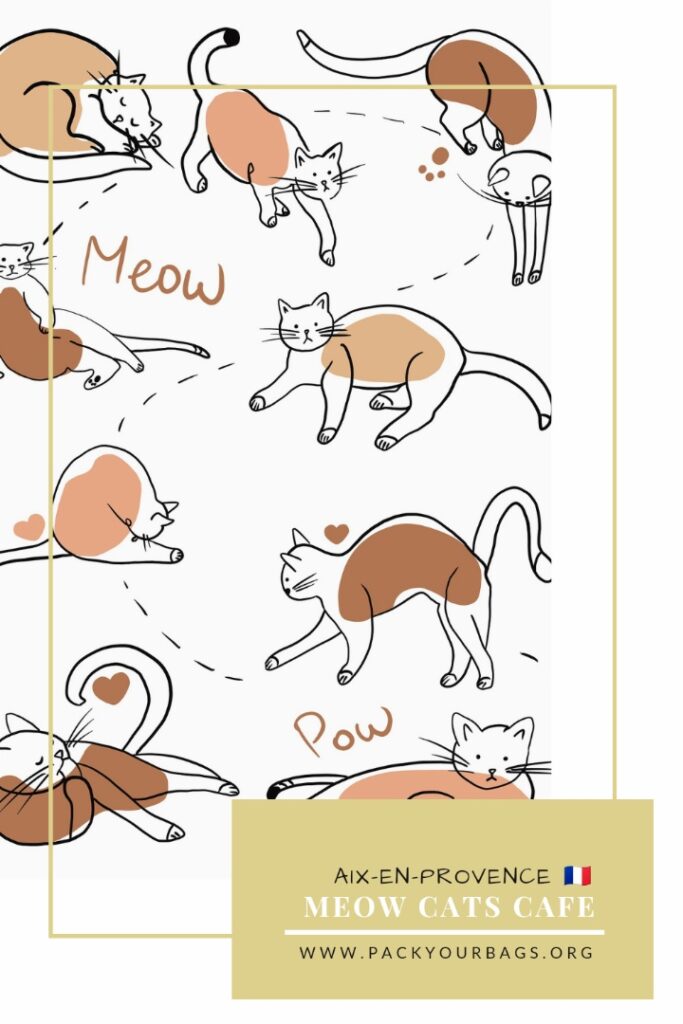 Meow Cats Cafe Aix-en-Provence Pin 